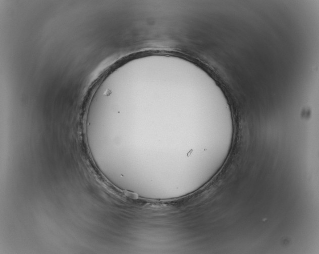 X0000113161168200909251344