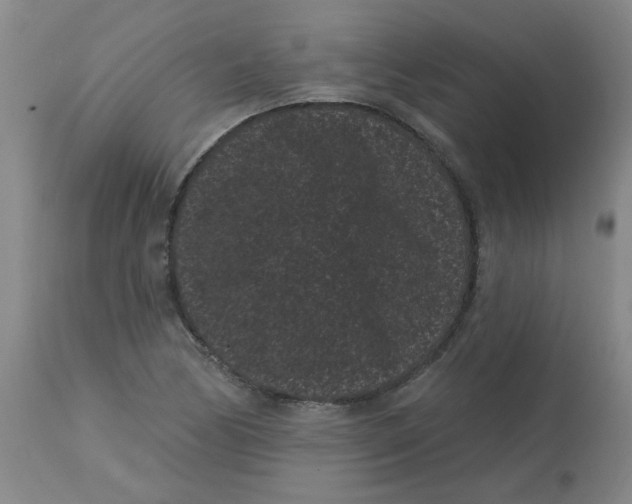 X0000113161170200909251344