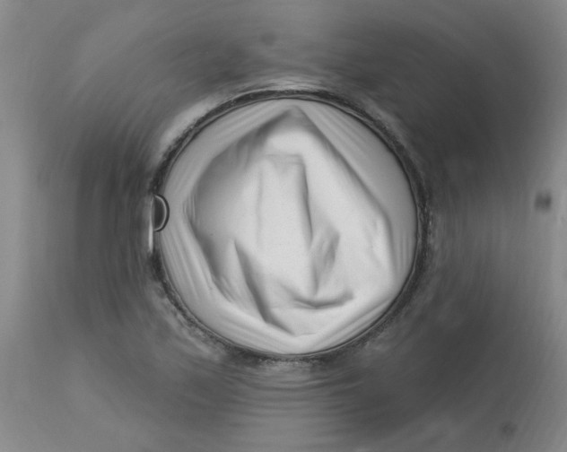 X0000113161171200909251344