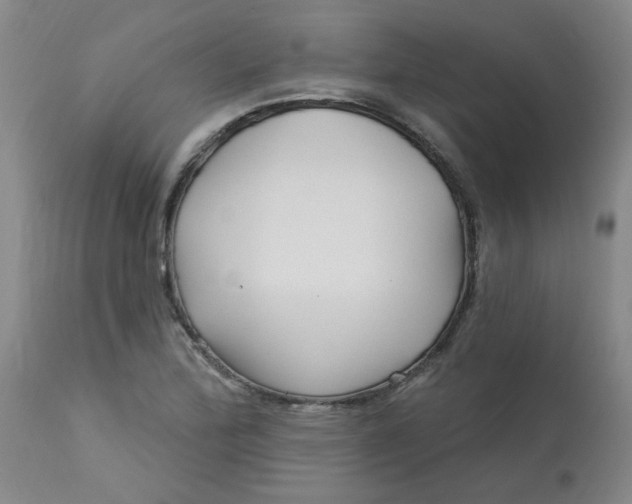 X0000113161172200909251344