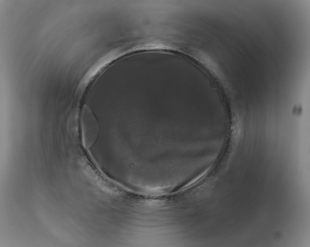 X0000113161173200909251344