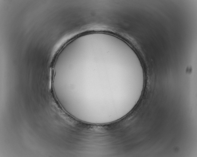 X0000113161175200909251344