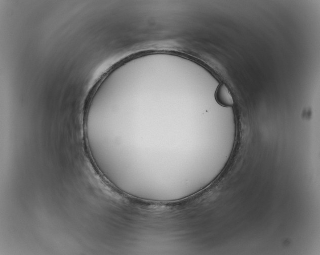 X0000113161176200909251344