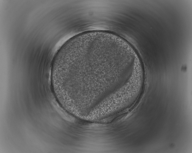 X0000113161179200909251344