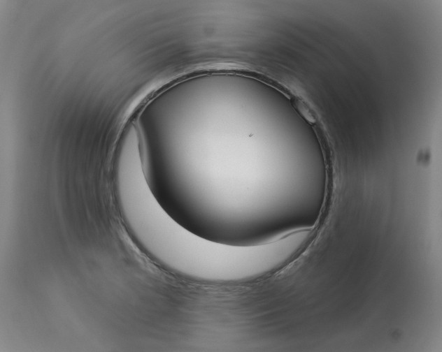 X0000113161181200909251344