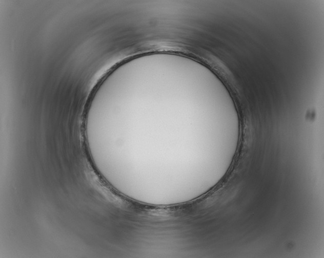 X0000113161182200909251344