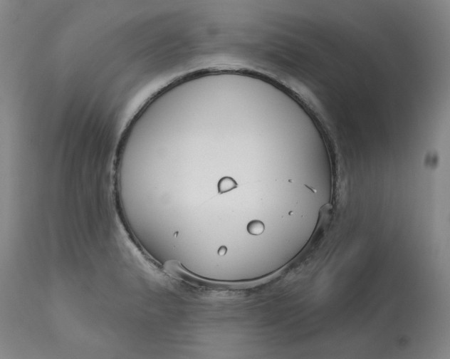 X0000113161183200909251344