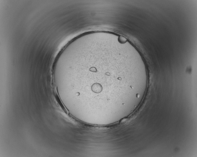 X0000113161184200909251344