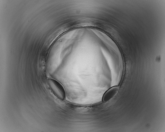 X0000113161185200909251344