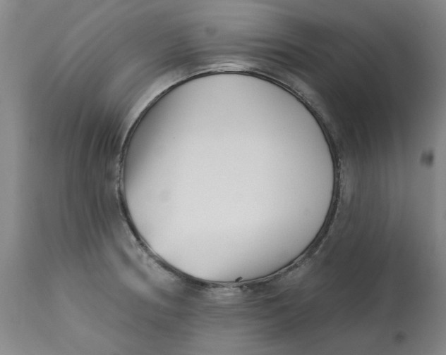 X0000113161186200909251344