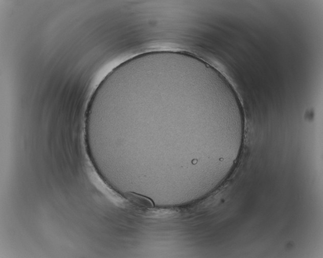 X0000113161187200909251344