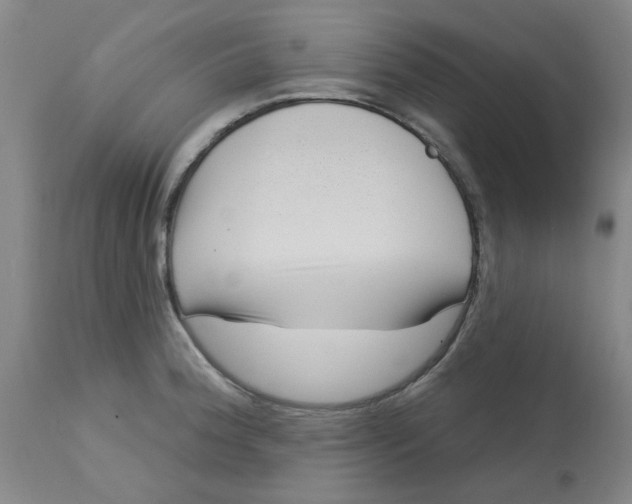 X0000113161188200909251344