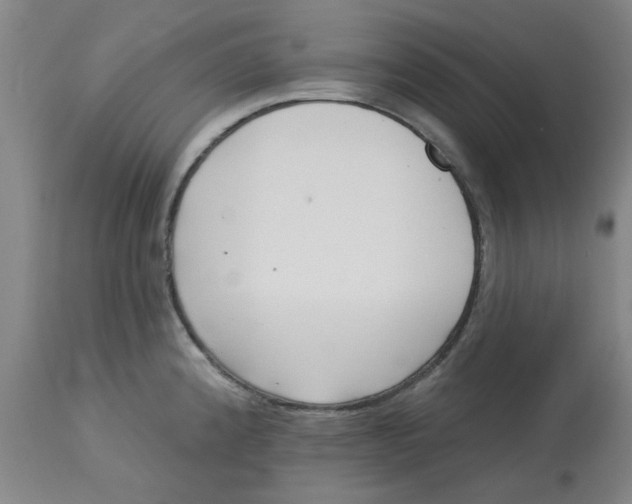 X0000113161192200909251344