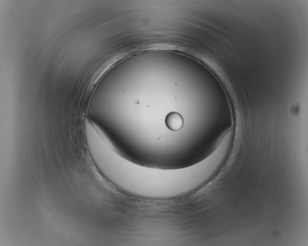 X0000113161193200909251344