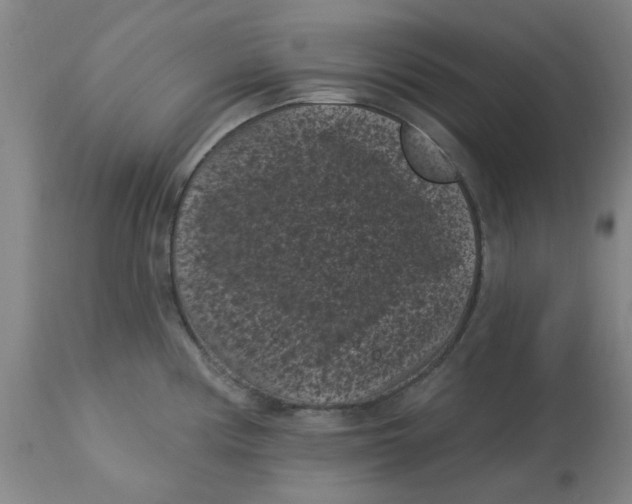 X0000113161194200909251344