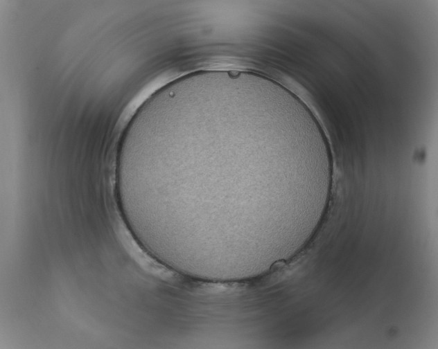 X0000113161195200909251344