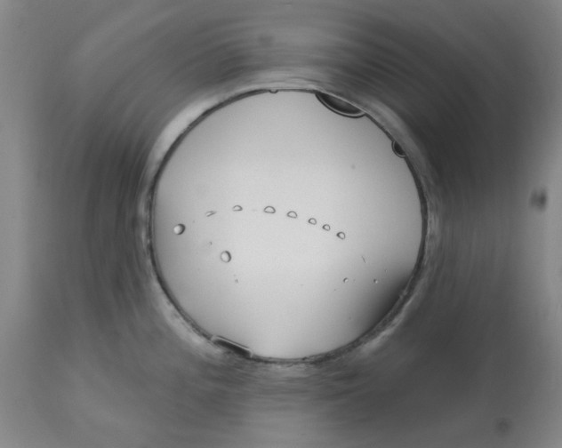 X0000113161196200909251344