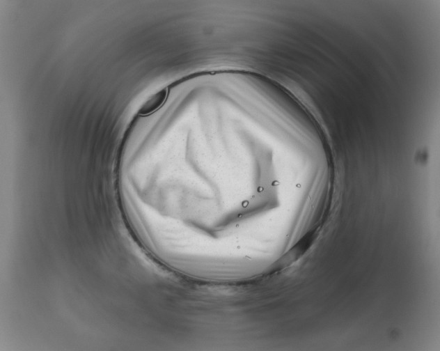 X0000113161197200909251344