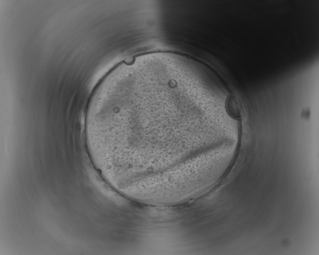 X0000113161198200909251344