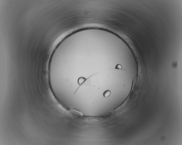 X0000113161199200909251344