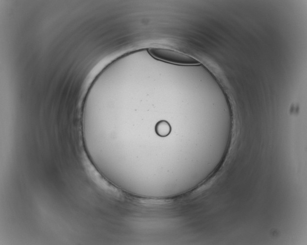 X0000113161200200909251344