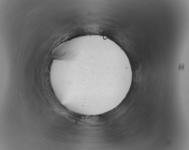 X0000113161201200909251343