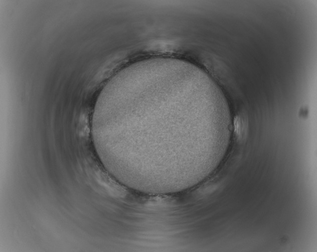 X0000113161203200909251343