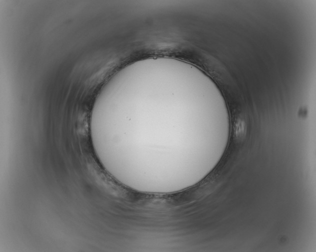 X0000113161204200909251343