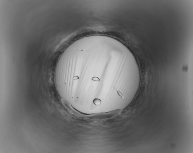 X0000113161205200909251343