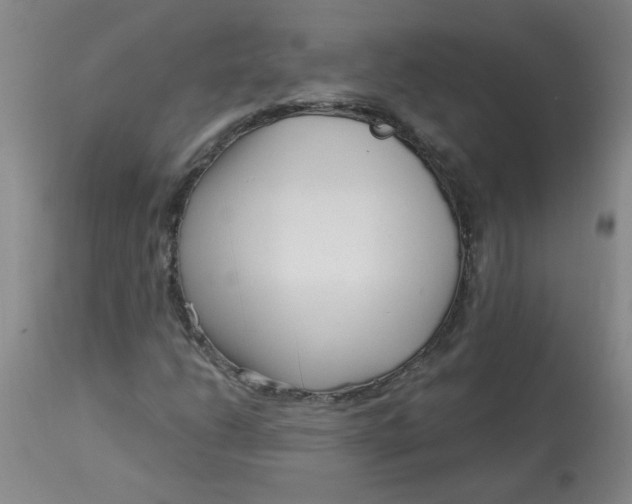 X0000113161206200909251343