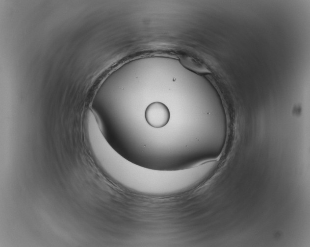 X0000113161209200909251343