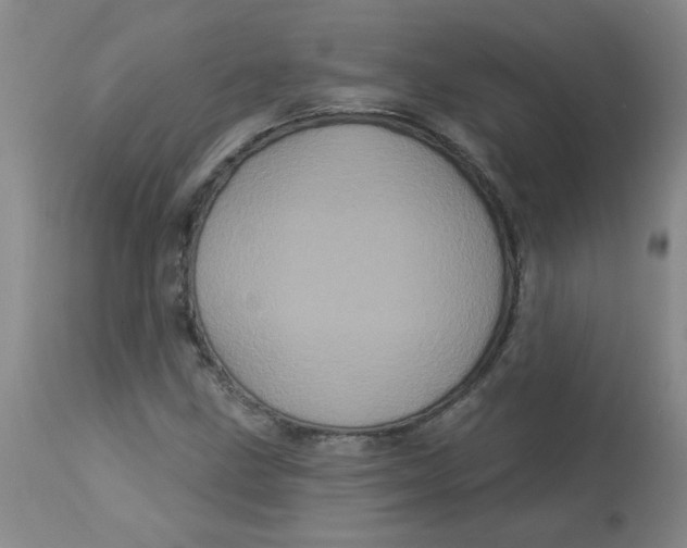 X0000113161211200909251343