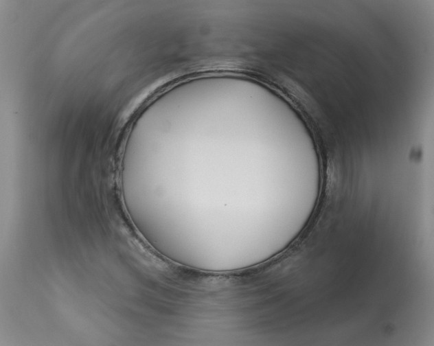 X0000113161212200909251343