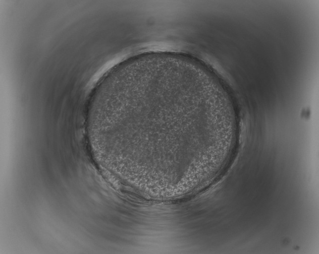 X0000113161213200909251343