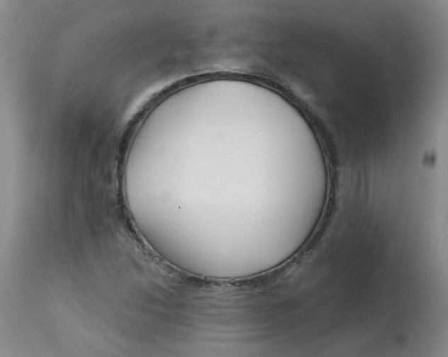 X0000113161214200909251343