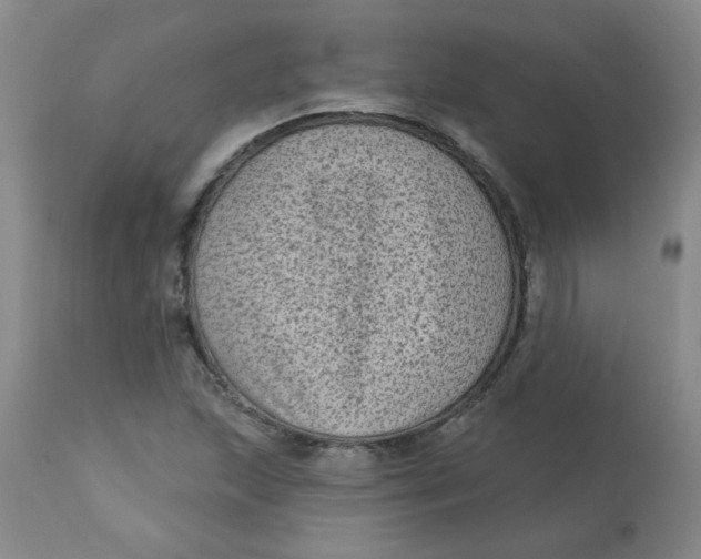 X0000113161215200909251343