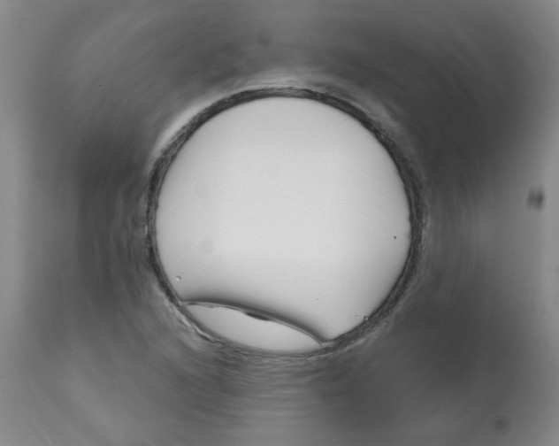 X0000113161216200909251343