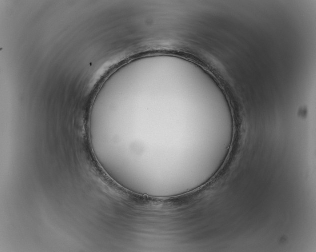 X0000113161218200909251343