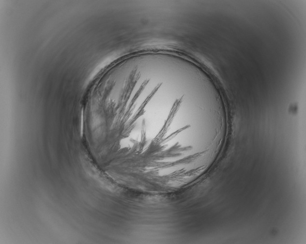 X0000113161219200909251344