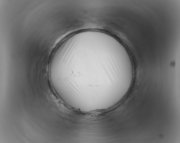 X0000113161220200909251344