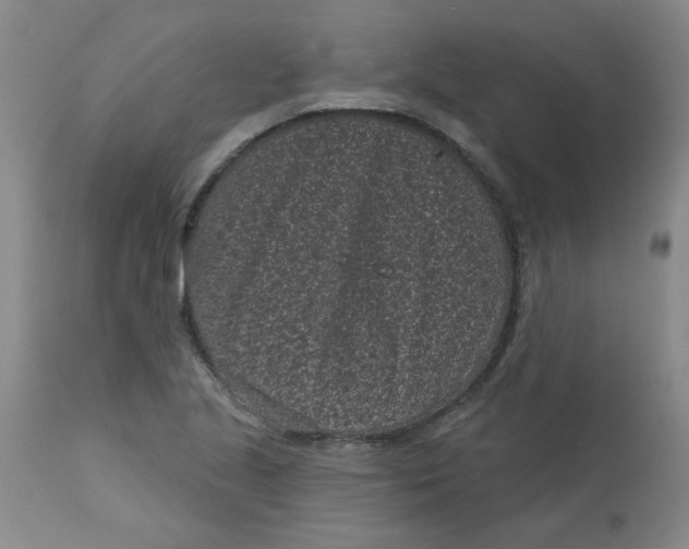 X0000113161221200909251344