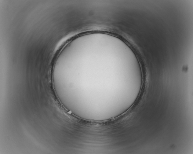 X0000113161222200909251344