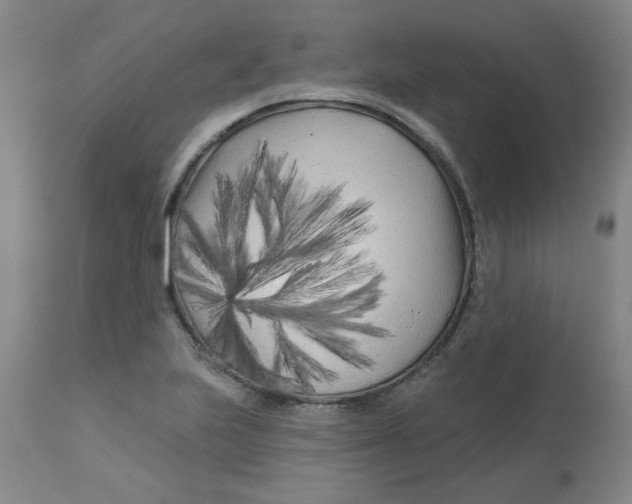 X0000113161223200909251344