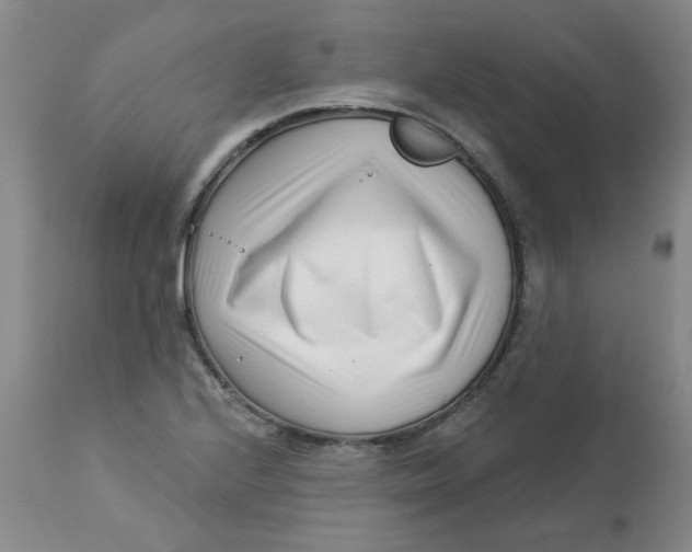 X0000113161224200909251344