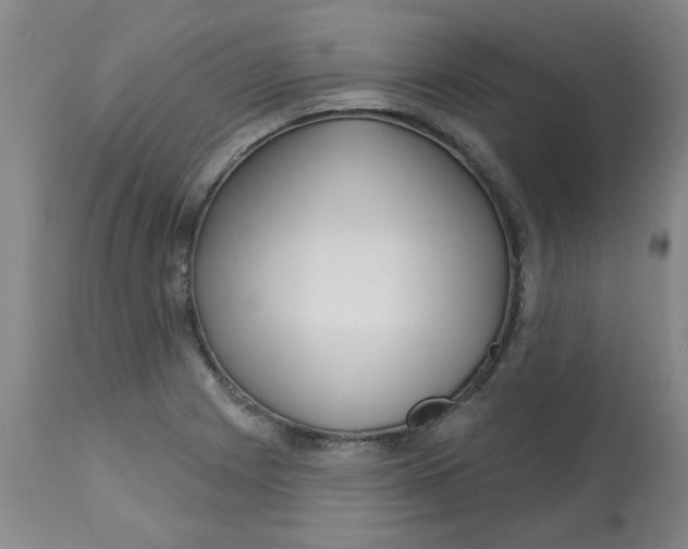 X0000113161225200909251344