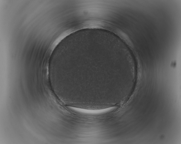 X0000113161226200909251344