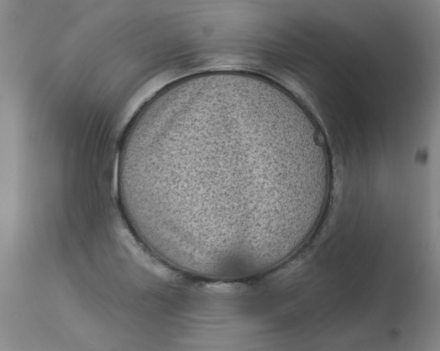 X0000113161227200909251344