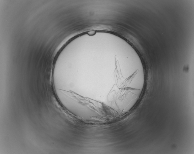 X0000113161228200909251344