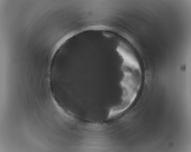 X0000113161229200909251344