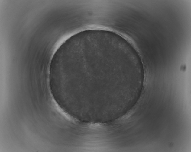 X0000113161231200909251344